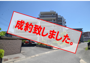 拡大表示