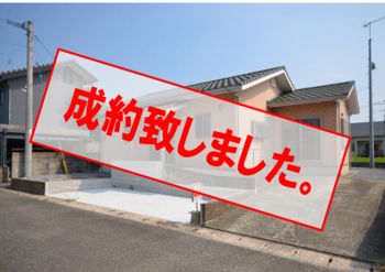 拡大表示