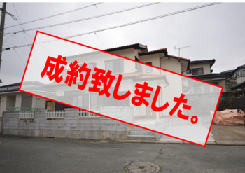 拡大表示
