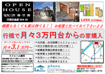 拡大表示