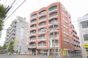 拡大表示
